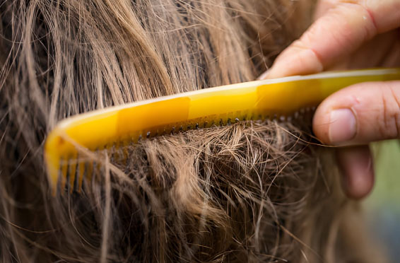 شانه دندانه پهن برای جلوگیری از شکستگی مو و نرم کردن موهای ف